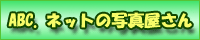 �l�b�g����A�炭�炭�ʐ^�v�����g�E�E�v���z���IABC.�l�b�g�̎ʐ^��������u���C�ɓ���ɓ����v�I